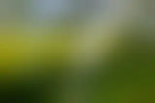 1 sierpnia trening syren alarmowych w Gminie Mniszków