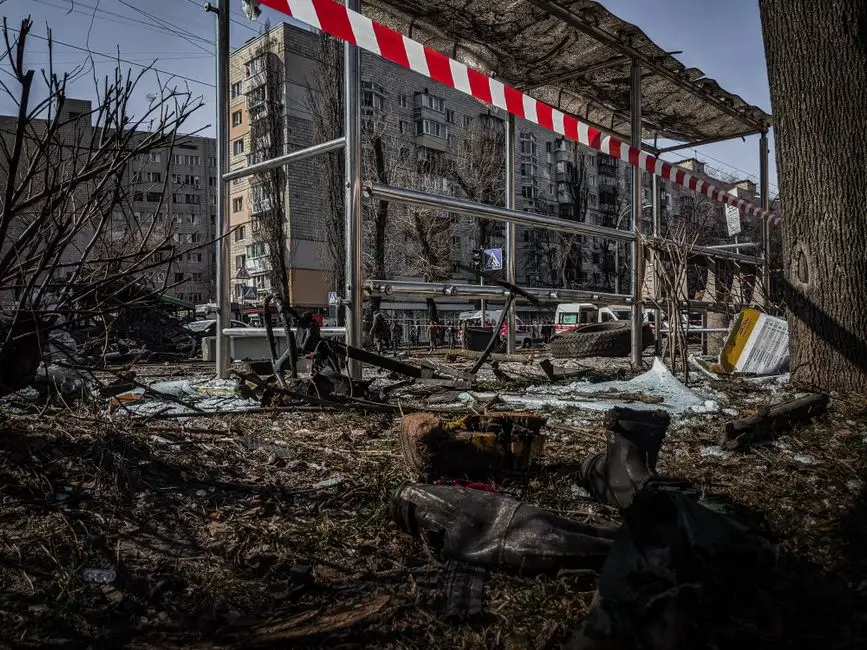 Patrol saperski zneutralizował niewybuchy w Nadleśnictwie Opoczno