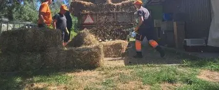 Schronisko w Opocznie prosi o słomę dla psów – jak pomóc?