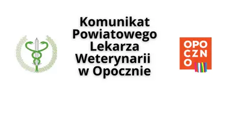 Obowiązkowe szczepienia psów w Opocznie – przypomnienie dla właścicieli