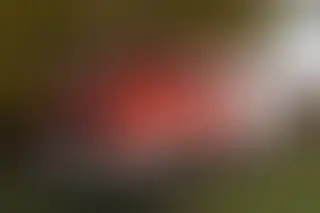 Spotkanie strażaków z Czernichowa z wojewodą małopolskim