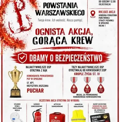 Weekend w Gminie Opoczno: kino, krew, piłka i folklor