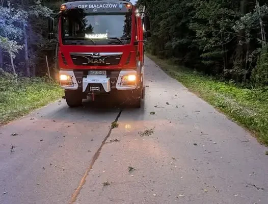 Powalone drzewo na drodze w Ossie – interwencja OSP KSRG Białaczów