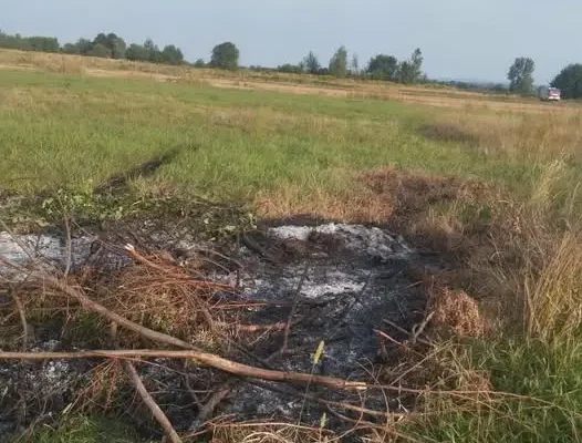 Pożar traw i odpadów ogrodniczych na ulicy Wiślanej – interwencja OSP Kamień
