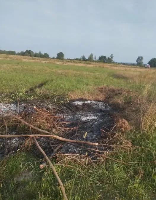 Pożar traw i odpadów ogrodniczych na ulicy Wiślanej – interwencja OSP Kamień