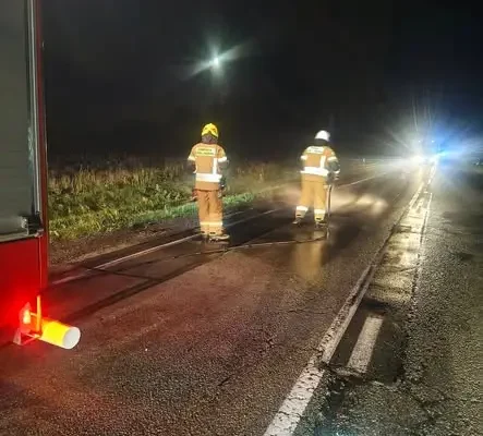 Zderzenie dwóch aut z łosiem na DK74 w Feliksowie