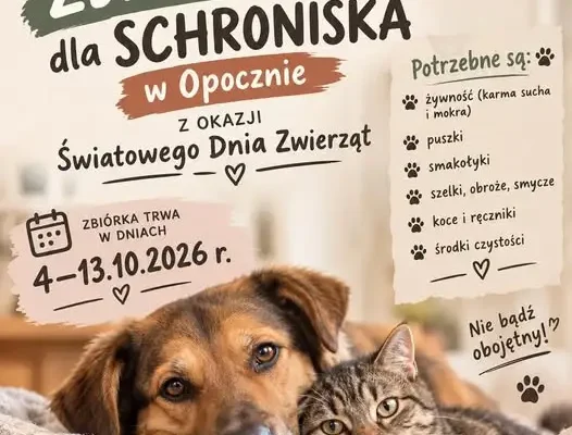 Zbiórka darów dla bezdomnych zwierząt w Opocznie – pomóż przed zimą