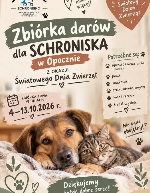 Zbiórka darów dla bezdomnych zwierząt w Opocznie – pomóż przed zimą