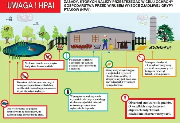 PIW Opoczno apeluje o wzmocnienie bioasekuracji w hodowlach drobiu