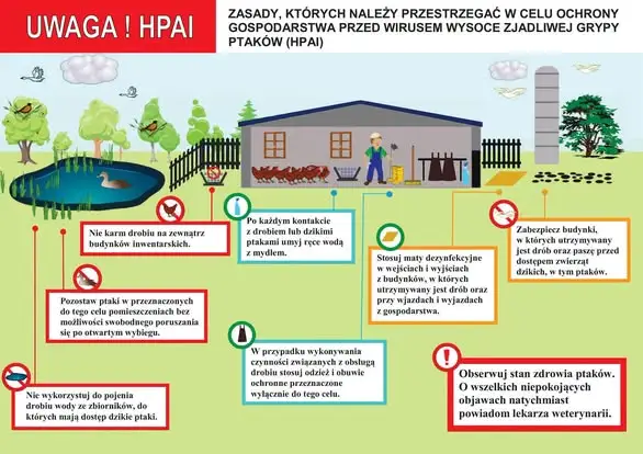 PIW Opoczno apeluje o wzmocnienie bioasekuracji w hodowlach drobiu